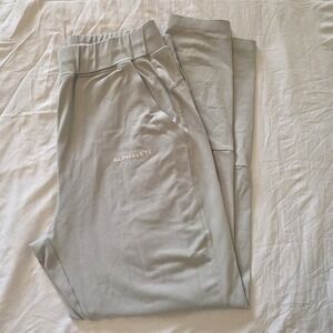 Alphalete Jogger Pants Mens Large Gray Athleisure Gym Stretch Tapered